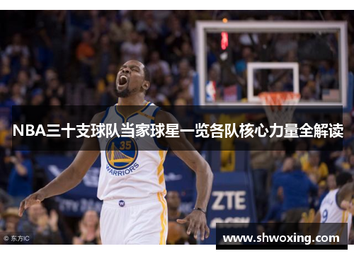 NBA三十支球队当家球星一览各队核心力量全解读